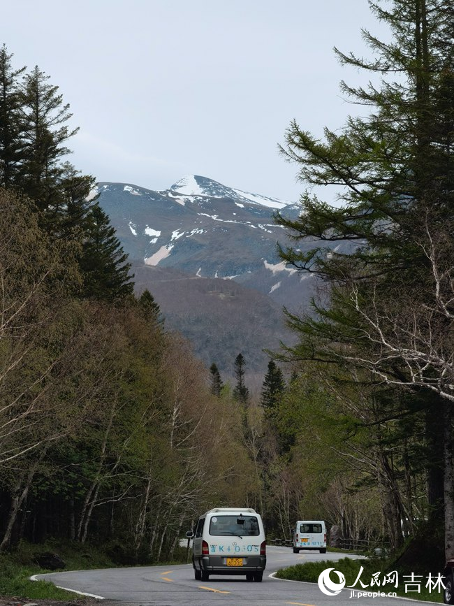 遠眺長白山。人民網(wǎng)記者 馬俊華攝