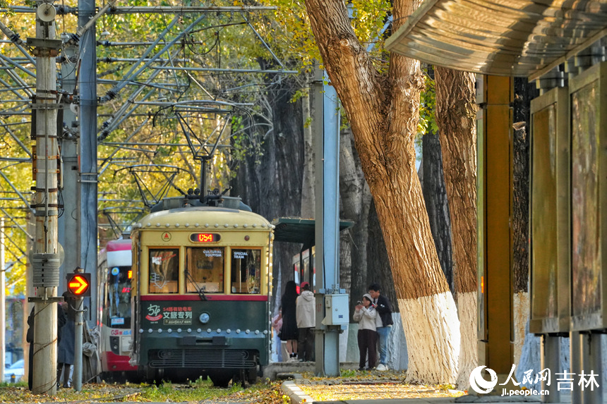 金秋時節(jié)，長春市54路有軌電車落葉景觀街區(qū)迎來最佳觀賞期。人民網(wǎng)記者 李洋攝